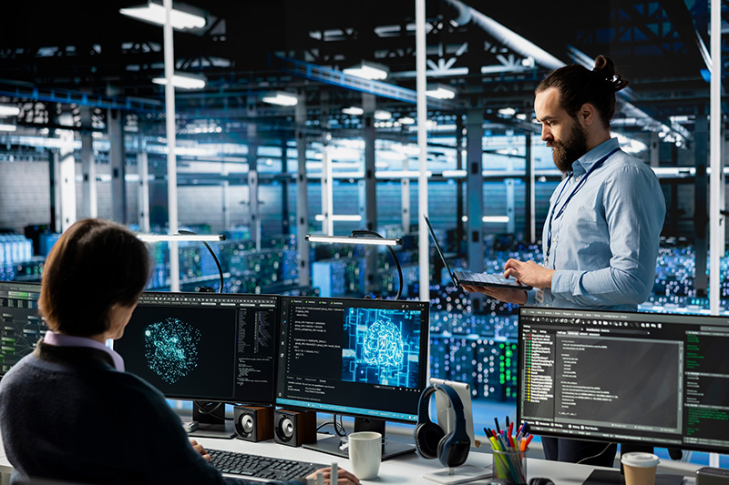 IT & Software Development